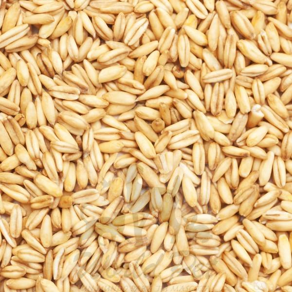 AVENA 25 KG
