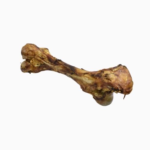 HUESO FEMUR VACUNO GIGANTE X 1 UNIDAD