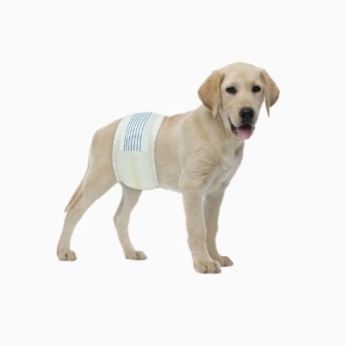 PAÑALES XL DE 15 A 28 KG